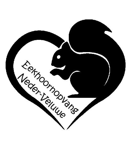 Eekhoornopvang Neder Veluwe